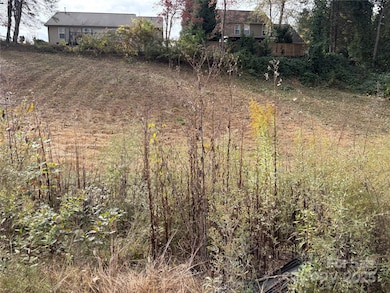 119, 123, 127 Randolph Ave, Black Mountain, NC 28711 - photo 4