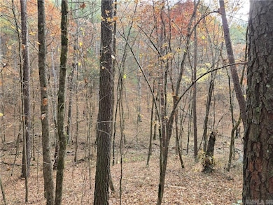 000 Cedar Branch Rd, Hattieville, AR 72063 - photo 3