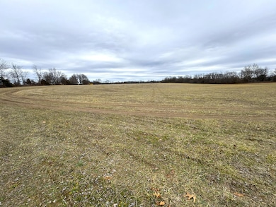 DJI_20250207_122636_565