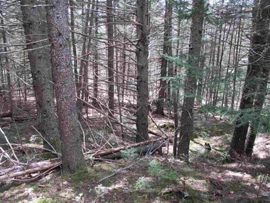 30 Moose Run, Waterville Valley, NH 03215 - photo 7