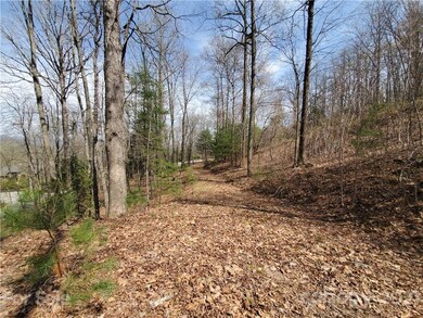 211 Secluded Hills Ln unit 12, Arden, NC 28704 - photo 5