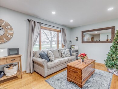 Living room 1