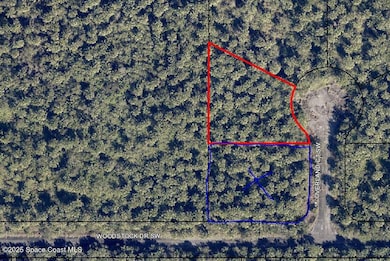 2854 Overland Ct SW, Palm Bay, FL 32908 - photo 5