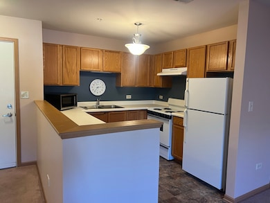 The Greens of Elgin unit 226, Elgin, IL 60123 - photo 3