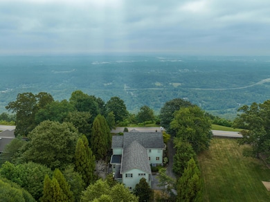 06 - 2509 E Brow Rd - Aerial