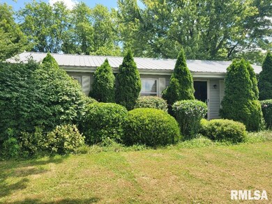 10554 State Route 142, Mount Vernon, IL 62864 - photo 2