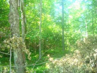 18.5 Acres State Highway 52, Aniwa, WI 54408 - photo 3