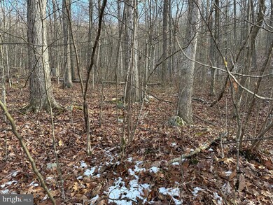 TBD Forest Dr, District 1, VA 22844 - photo 7