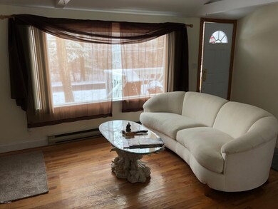 111 Palm Dr, Dingmans Ferry, PA 18328 - photo 3