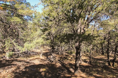 Marenman Rd, Fort Garland, CO 81133 - photo 5