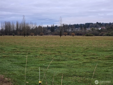 255 XX NE 138th St, Duvall, WA 98019 - photo 2