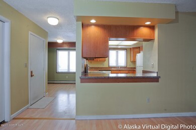 Kitchen pass thru from Living room