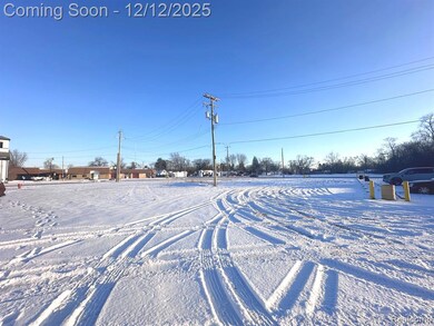 11630 Ozga St, Romulus, MI 48174 - photo 4