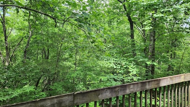 Lot 18 Sassafras Ridge Rd, Turtletown, TN 37391 - photo 3