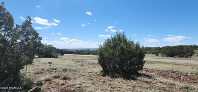 12 E Crookton Rd, Ash Fork, AZ 86320 - photo 5