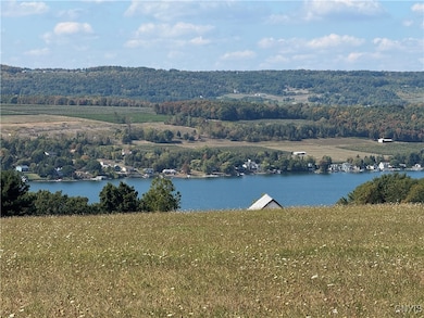 Lot 9 Sisson Rd, Milo, NY 14527 - photo 6