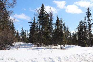 32714 Rickard St, Anchor Point, AK 99556 - photo 2