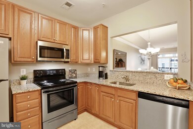 8607 Wintergreen Ct unit 308, Odenton, MD 21113 - photo 6