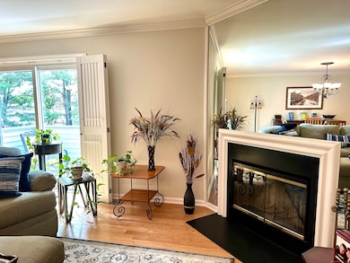 2700 Bedford St unit J, Stamford, CT 06905 - photo 7