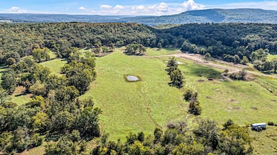 TRACT 1 - 13610 Arkansas 105, Hector, AR 72843 - photo 4