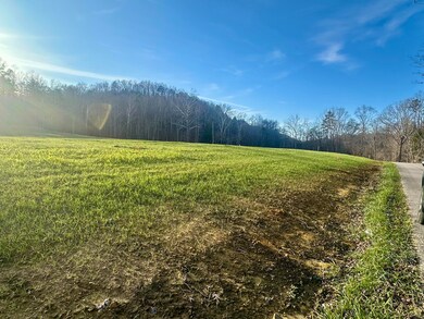 Lot 9 Hensley Rd, East Bernstadt, KY 40729 - photo 6