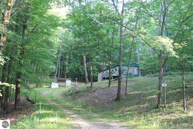 120 Valley Cir, Leroy, MI 49655 - photo 2