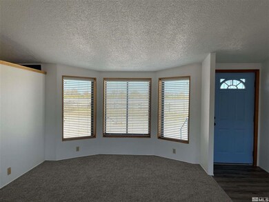 6395 Casey Rd, Fallon, NV 89406 - photo 4