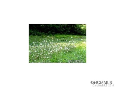 Queen Anns lace.
