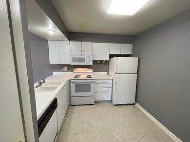 4506 Kings Walk Dr unit 1B, Rolling Meadows, IL 60008 - photo 6