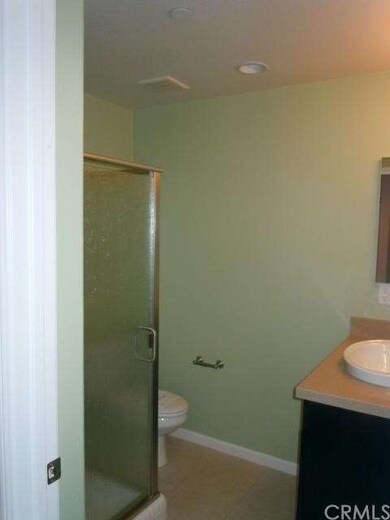 Bathroom with shower in the downstairs bonus room.