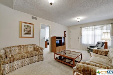 829 Old Ranch Road 12, San Marcos, TX 78666 - photo 4