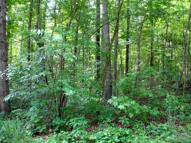 4 River Run Rd, Statesville, NC 28625 - photo 2