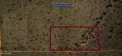 TBD 3_41 Acre W Richey ST