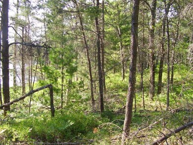 View # 2 Cranberry Lake