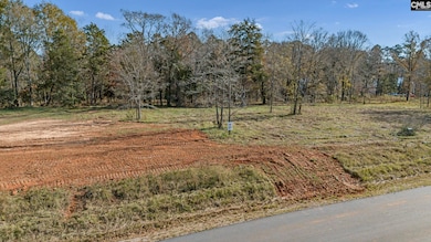 0 Lands End Ln unit 622662, Prosperity, SC 29127 - photo 3