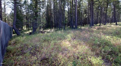 880 Bowdish Rd, Whitefish, MT 59937 - photo 7