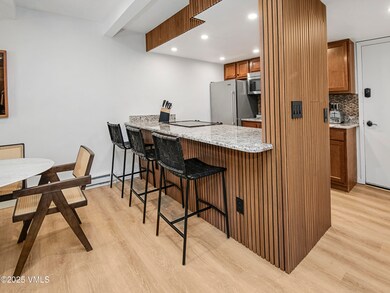 300 E Lionshead Cir unit 211, Vail, CO 81657 - photo 4