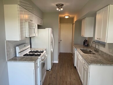 933 Monroe Ct unit 5, Vernon Hills, IL 60061 - photo 2