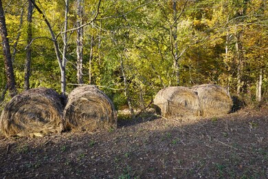 0 Upper Standing Rock Rd unit RTC2969170, Dover, TN 37058 - photo 7