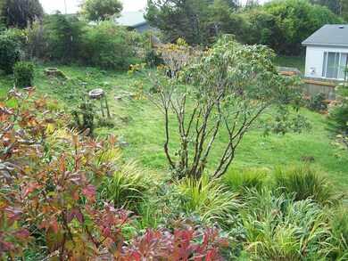 front yard