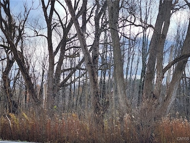 0 New York 294, Boonville, NY 13309 - photo 3