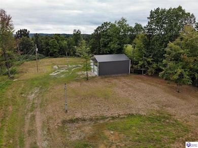 2003 Tick Ridge Rd, Falls of Rough, KY 40119 - photo 3