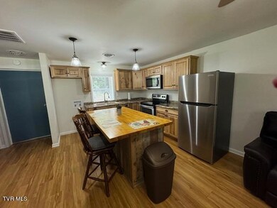 17584 Burnt Cabin Trail, Chilhowie, VA 24319 - photo 5