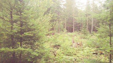 20210703_135948_Film4