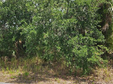 0 Inverness St unit MFRC7500522, North Port, FL 34288 - photo 3