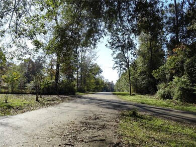 Street view from front of lot 4 Tolawa Place SD.