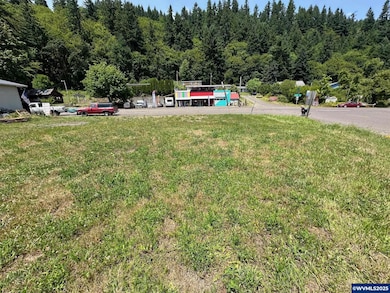 Lot 1 & 2 Main St, Alsea, OR 97324 - photo 2