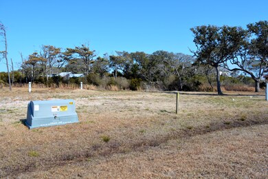 Lot 13