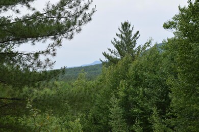 DSC_0047