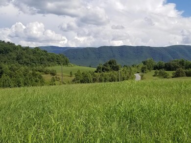 Lot 41 Tabor Rd, Greeneville, TN 37743 - photo 2